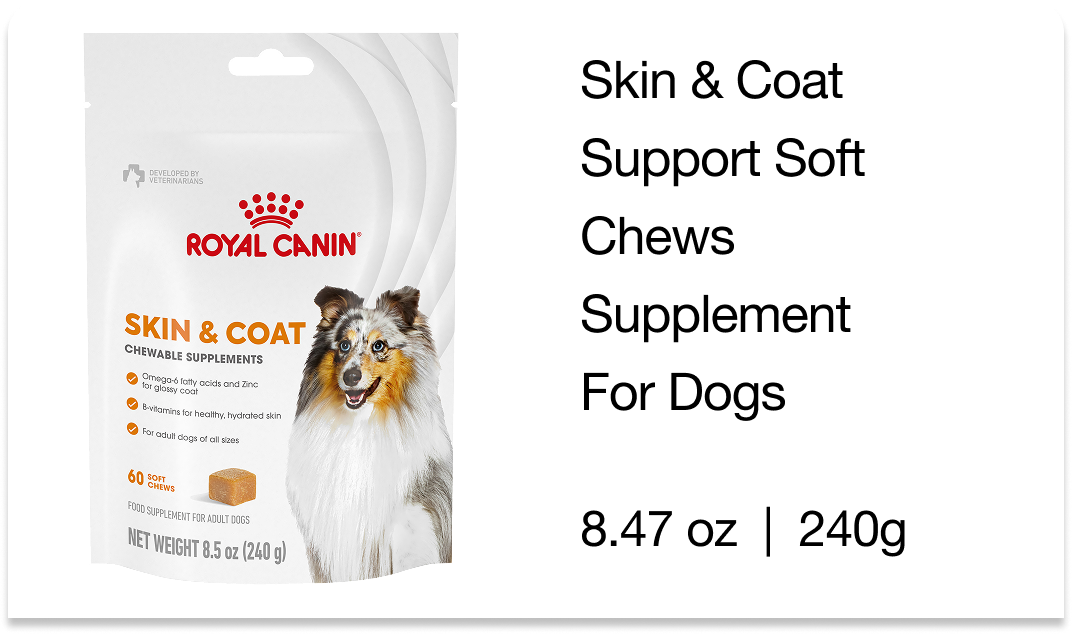 Skin & Coat